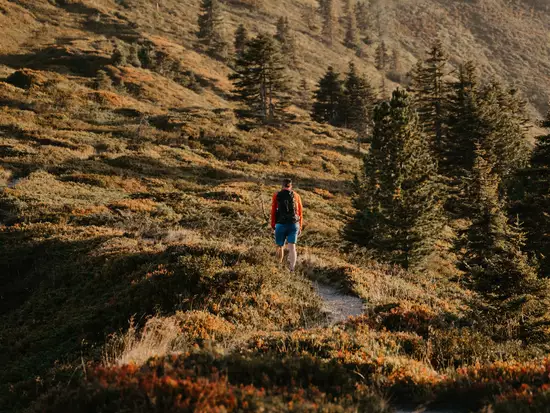 Wanderweg im Abendlicht