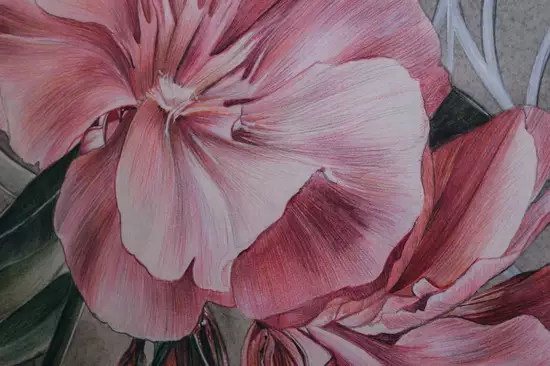 Rosenaufdruck auf Wand 