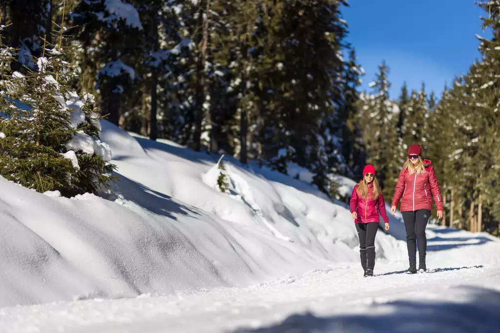 Schneespaziergang im Wald