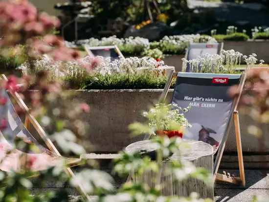 Detailaufnahme Sonnenstühle im Garten