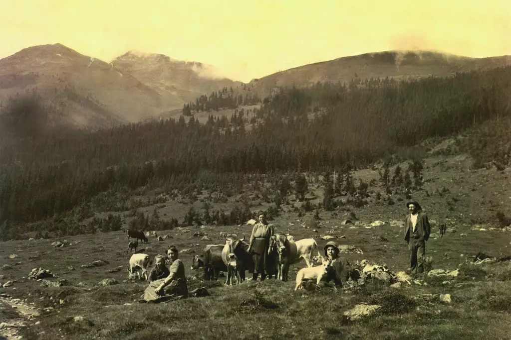 Almsommer im "Finsinggrund" ©Berghotel Hochfügen