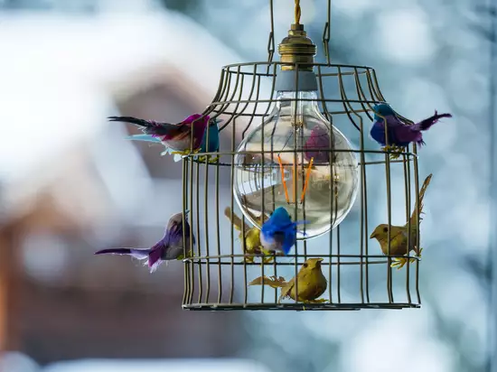 Dekorativer Lampenschirm mit Vögeln