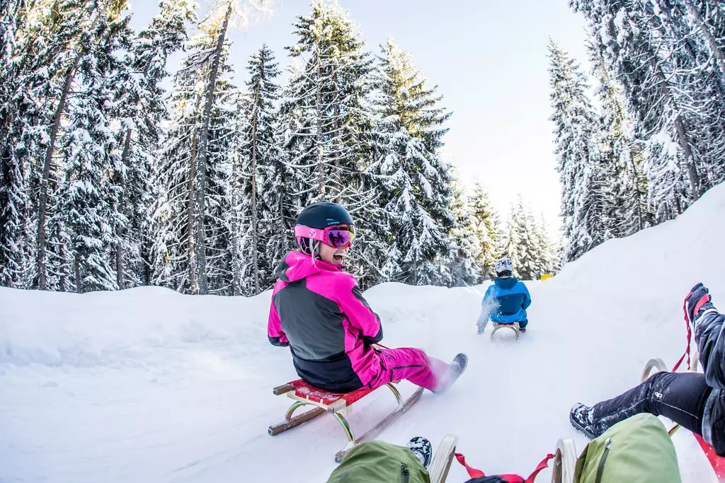Zwei Personen rodeln auf einer verschneiten Strecke durch einen Wald. Die Person vorne trägt einen pinken Anzug und sitzt auf einem Schlitten, während die zweite Person in blauer Kleidung dahinter fährt. Um sie herum stehen schneebedeckte Bäume unter einem klaren Himmel.
