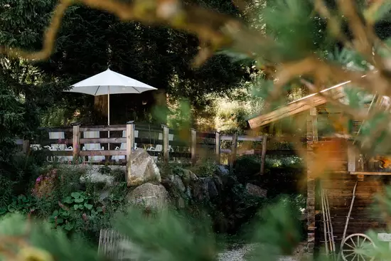 Gartenaufnahme mit viel Grün und Altholz